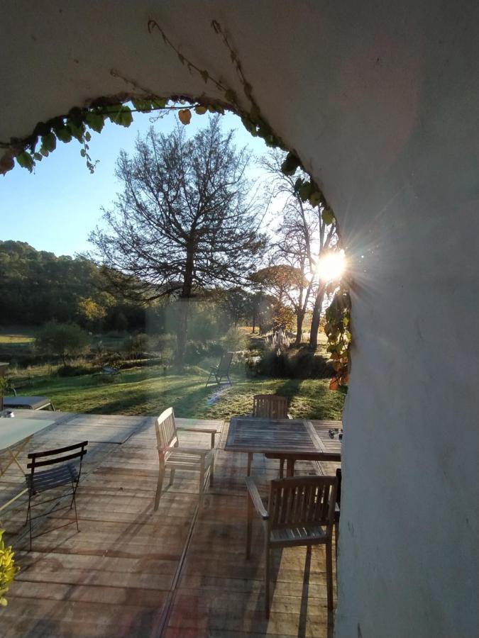 Les Amis De Gaure Apartment Rouffiac-d'Aude Bagian luar foto