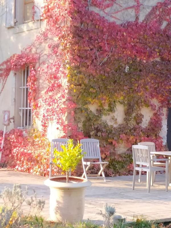 Les Amis De Gaure Apartment Rouffiac-d'Aude Bagian luar foto